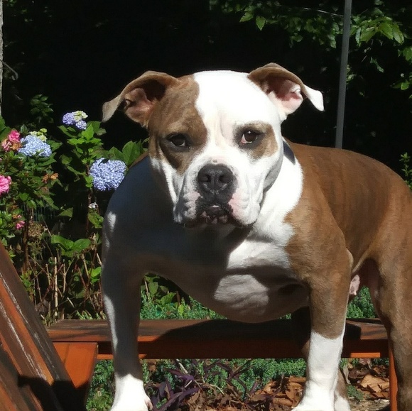 Meet your Posher, Jessica - Picture 2 of 2